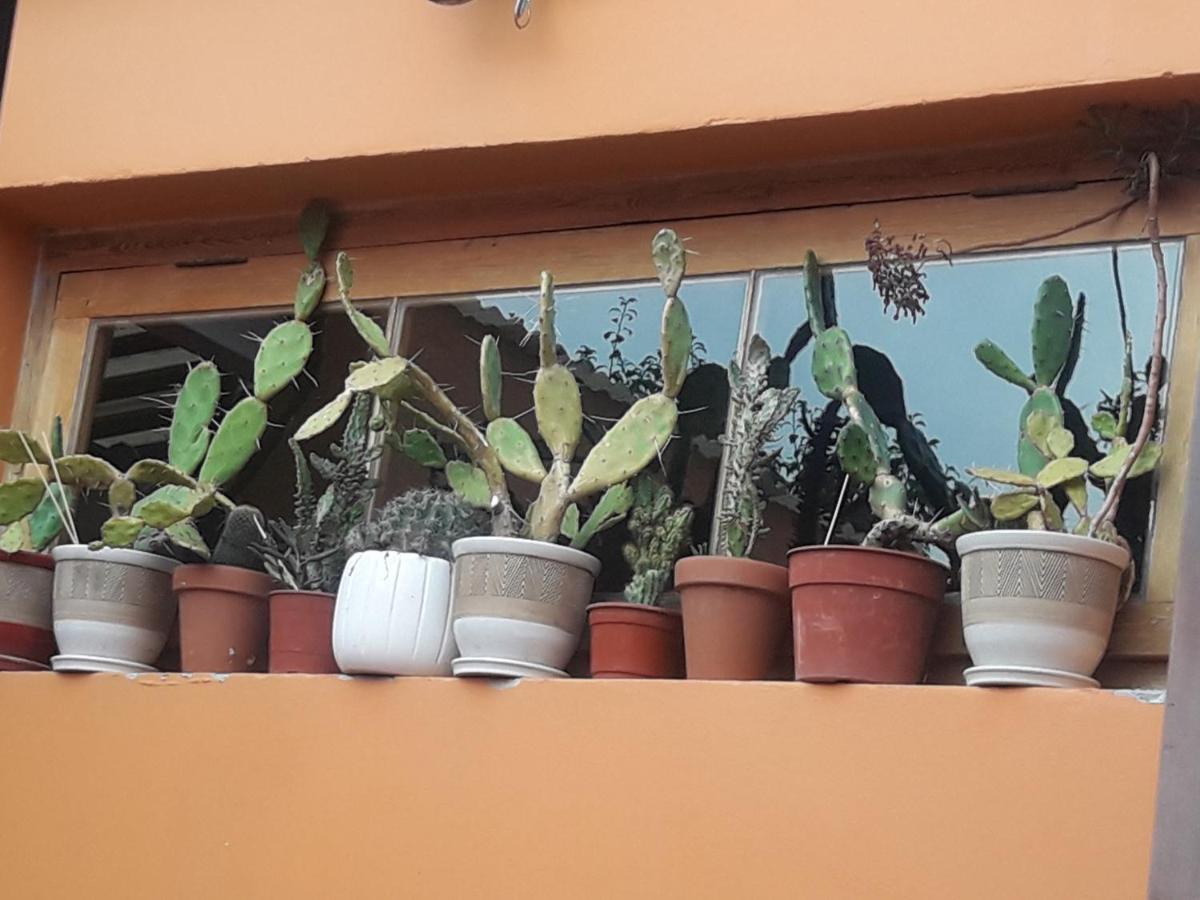La Biblioteca Appartement Olavarría Buitenkant foto